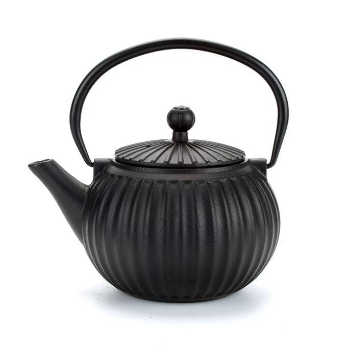 Teiera in ghisa con infusore Tetsubin giapponese